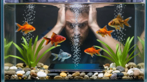 phone pani me gir jaye to kya karen, A man with hands on his head peers into an aquarium with colorful goldfish and a submerged smartphone. The scene conveys surprise and concern.